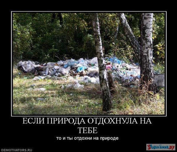 Демотиваторы про отдых на природе