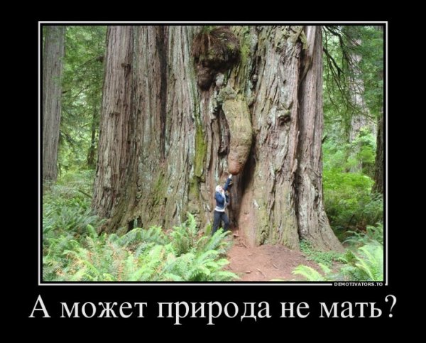Демотиваторы про природу