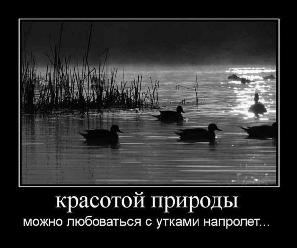 Демотиваторы про природу