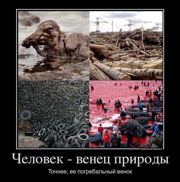 Демотиваторы про людей