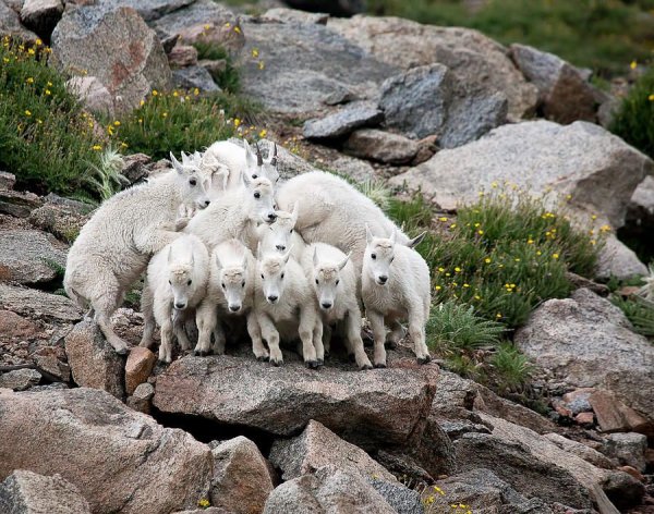 Шутки про корпоратив