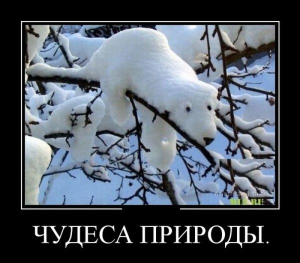 Чудеса демотиватор