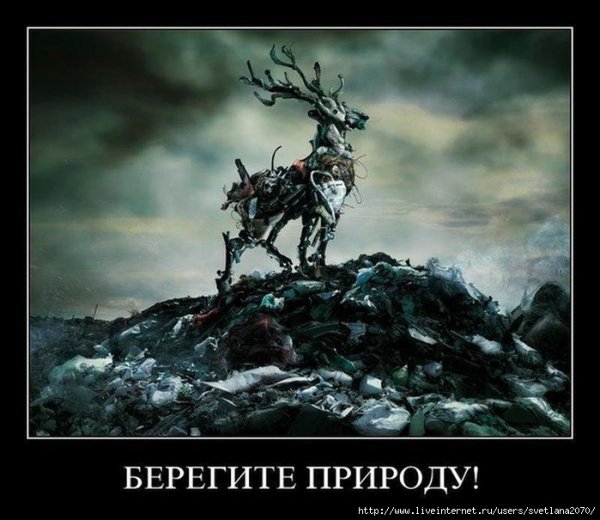 Береги природу мать Вашу плакат