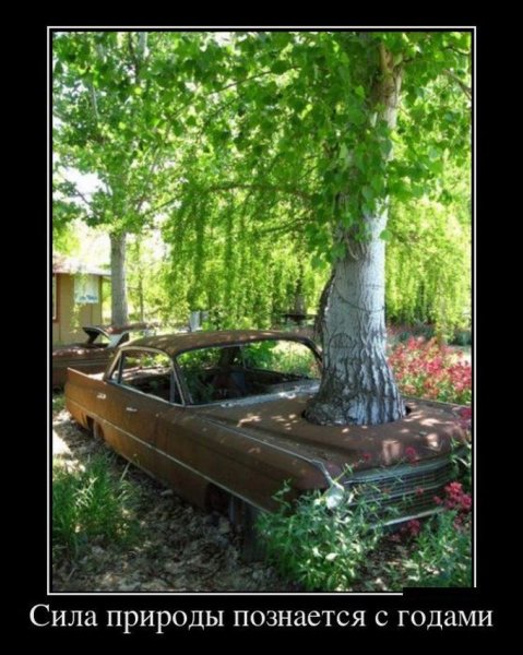Демотиваторы про природу