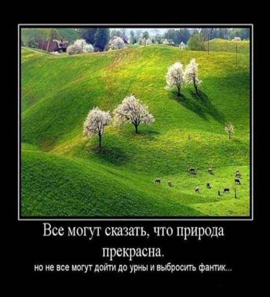 Демотиваторы смешные природа