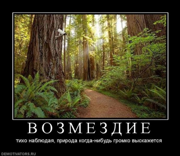 Всем похуй демотиватор