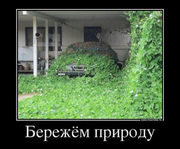 Зимняя рыбалка демотиватор