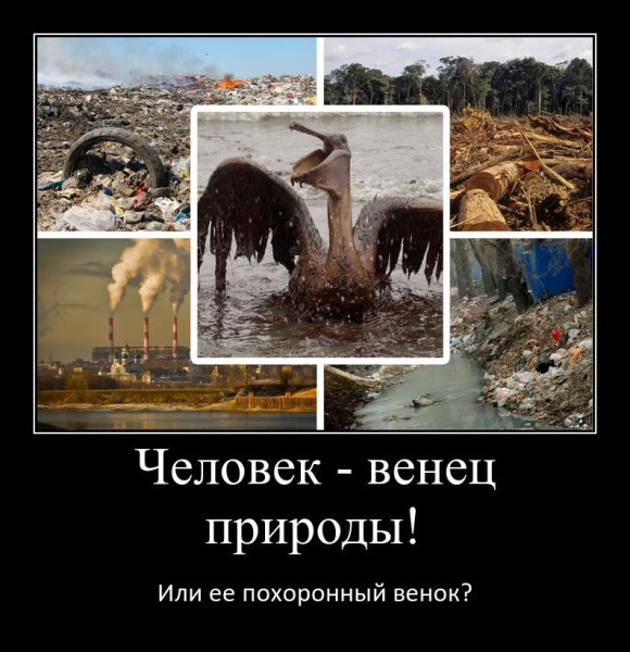 Жду демотиватор