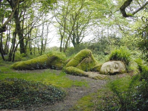 Демотиватор на сохранение природы