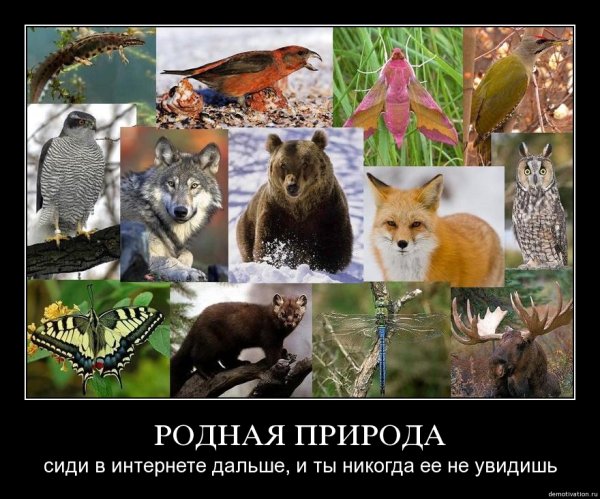 Пугающая красота