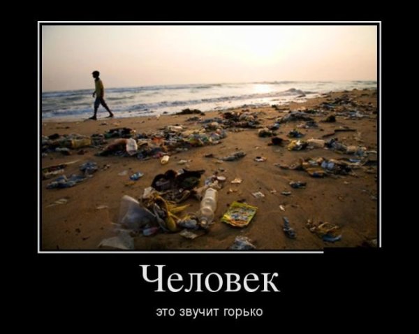 Демотиваторы про мусор