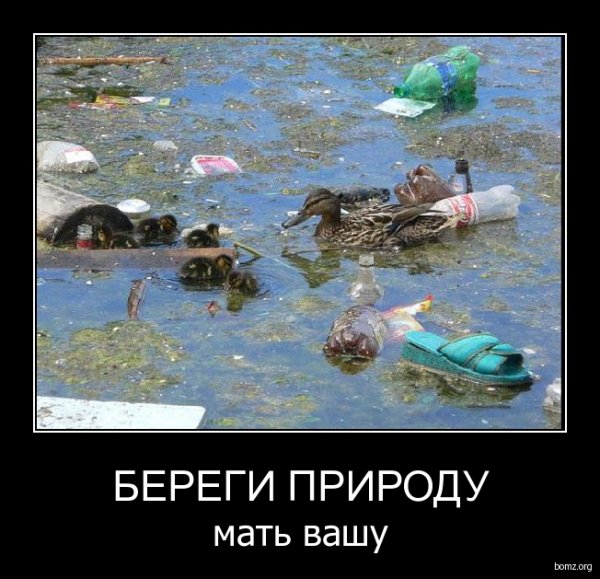 Экологические демотиваторы