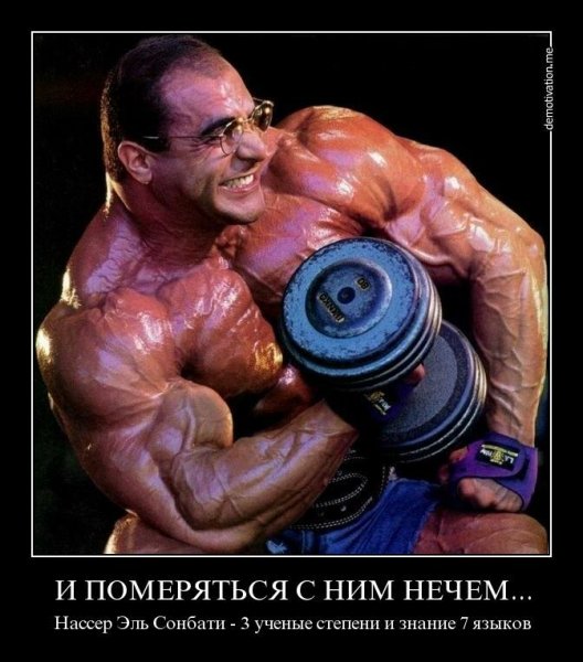 Нассер Эль Сонбати мертвый