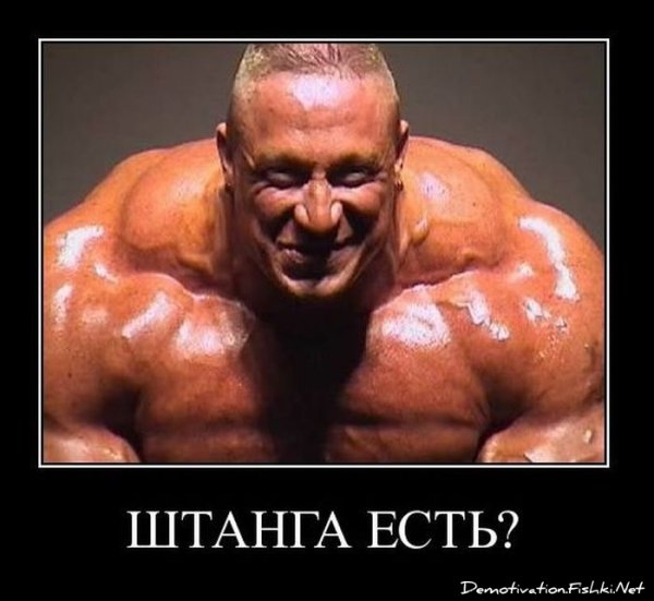 Маркус рул плечи