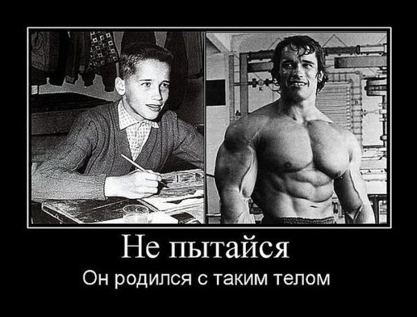 Демотиваторы с Шварценеггером