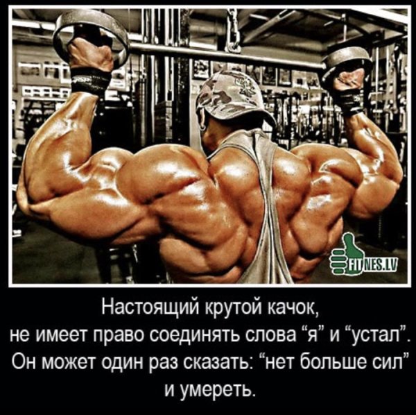 Цитаты качков