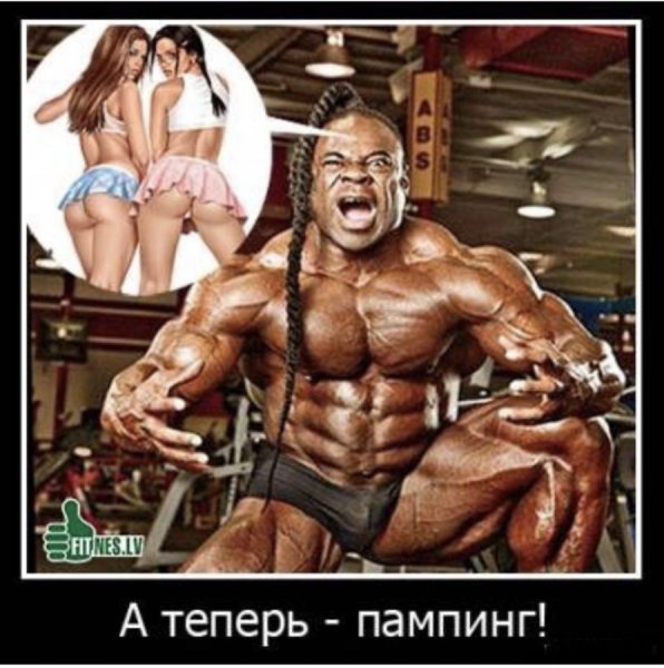 Приколы про бодибилдеров