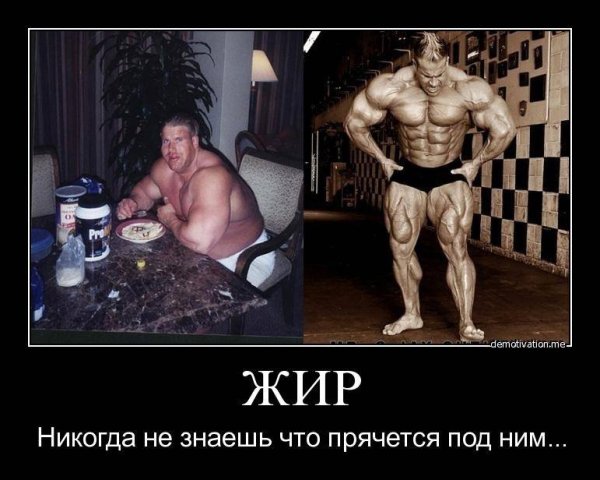 Шутки про культуристов