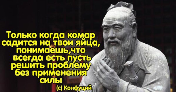 Цитаты Конфуция мемы