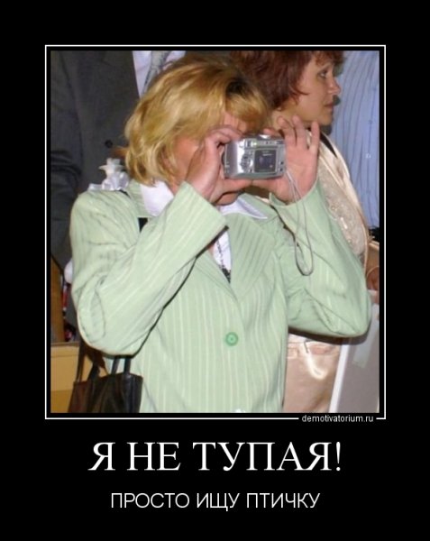Женская тупость демотиваторы