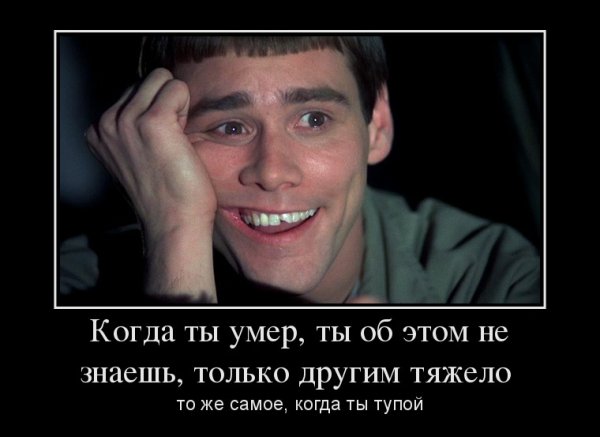 Шутки про тупых людей