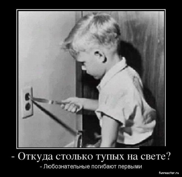 Демотиваторы про тупых