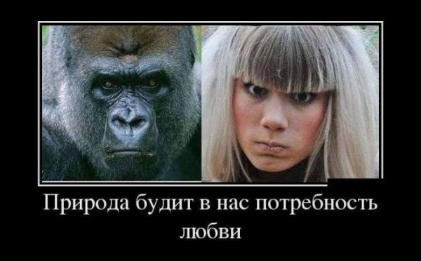 Демотиваторы про тупых