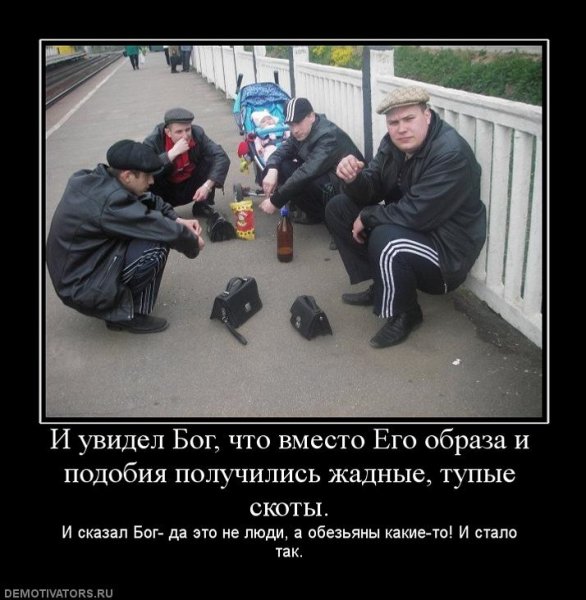 Демотиваторы гопота