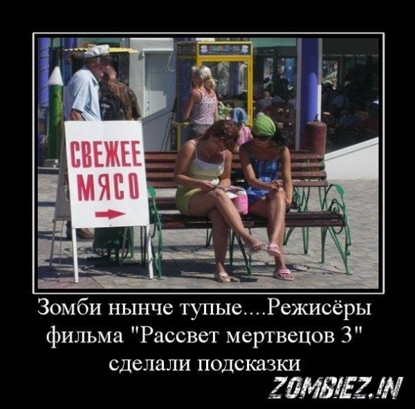Тупые гости демотиваторы