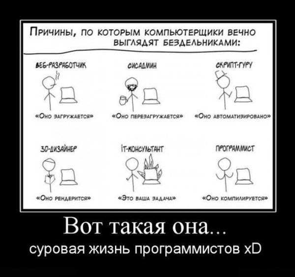 Программист приколы