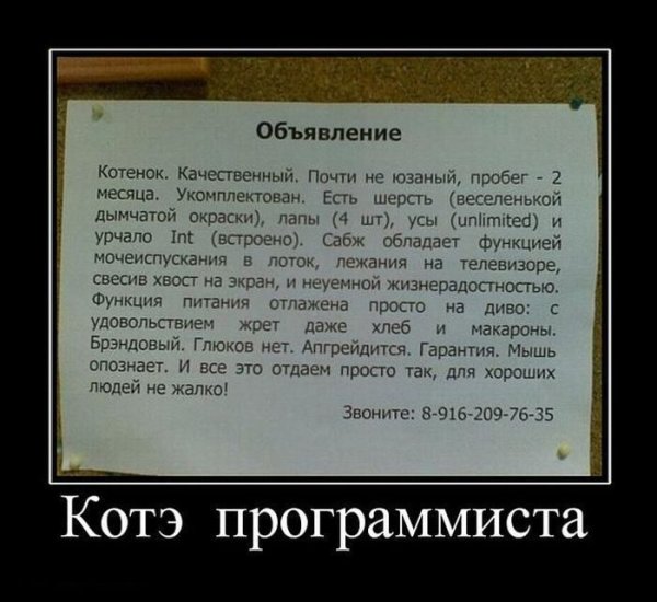 Программист приколы