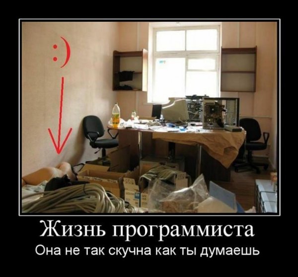 Программист приколы