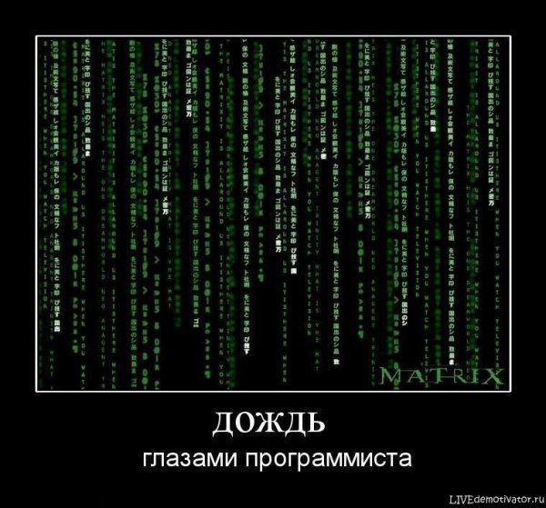 Программист приколы