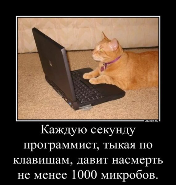 Программист приколы