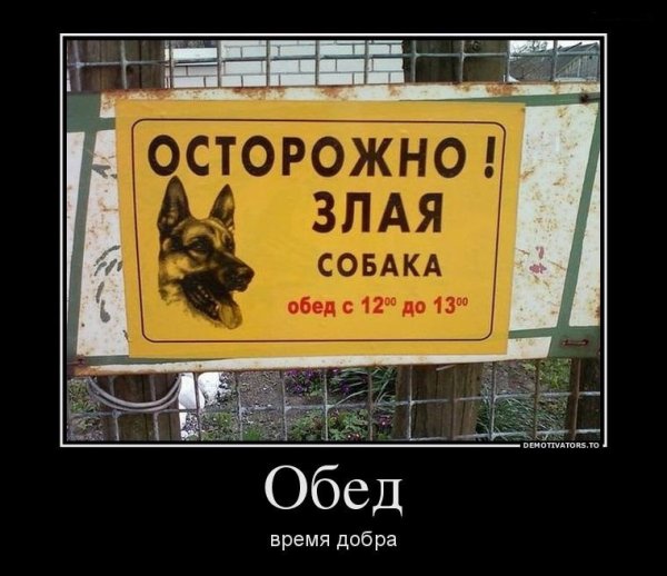 Шутки про обеденный перерыв