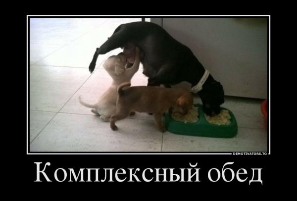 Приколы про обед на работе