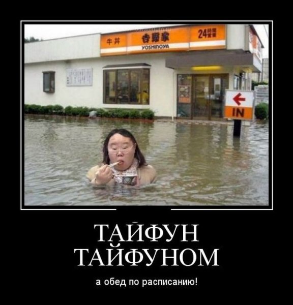 Демотиватор потоп