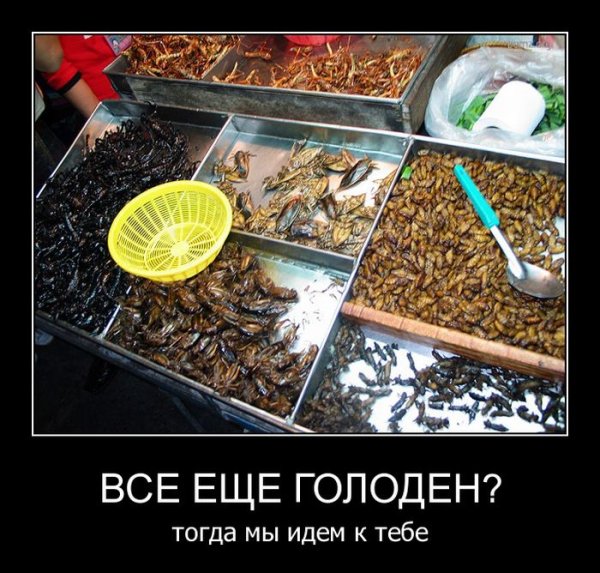 Еда юмор