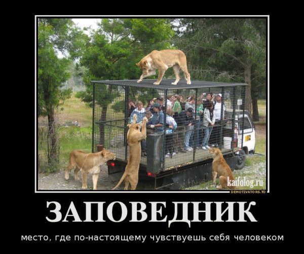 Демотиваторы про обеденный перерыв