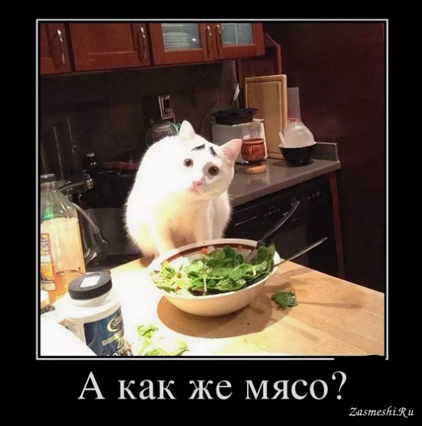 Демотиваторы еда