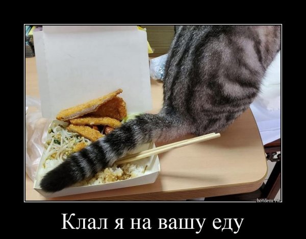 Демотиваторы хорошего настроения
