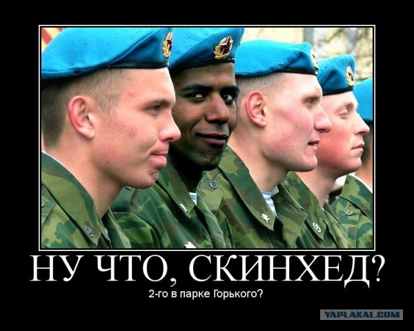 Мемы про скинхедов