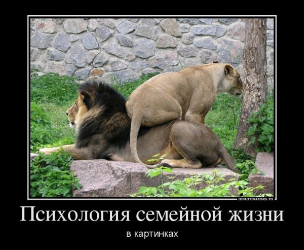 Демотиваторы психологические