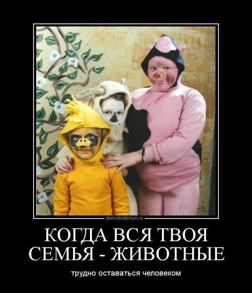 Демотиваторы про семью смешные