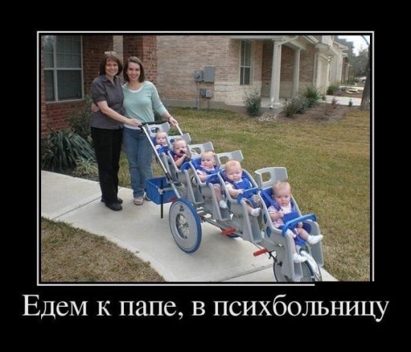 Приколы про многодетную семью