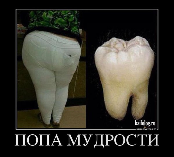 Демотиваторы попа