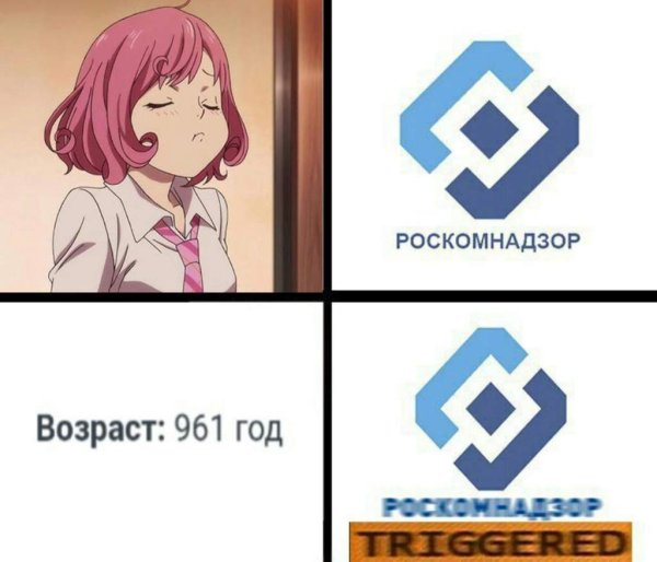 Роскомнадзор Мем