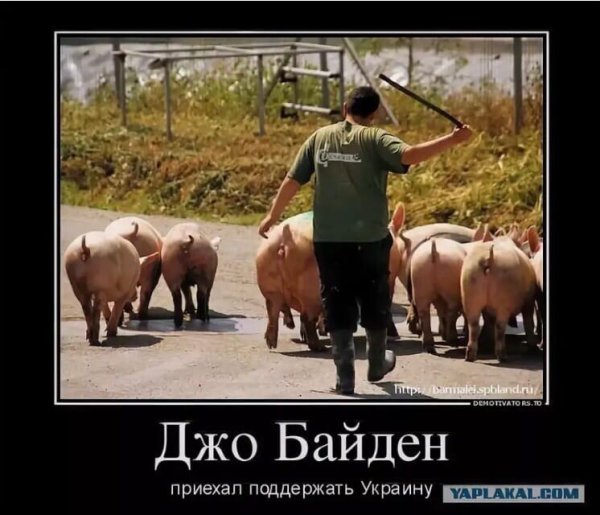Фотожабы на Байдена
