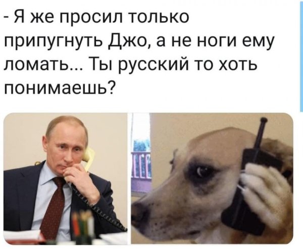 Путин и Байден приколы