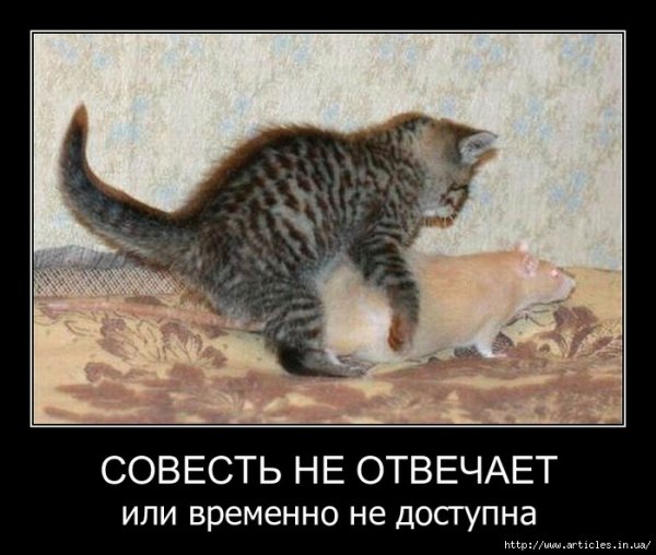 Нецензурные демотиваторы